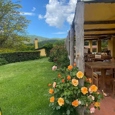 Santa Lorica * 사세타