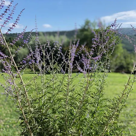 Bauernhof Santa Lorica *